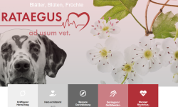 Screenshot 2026-02-26 121719